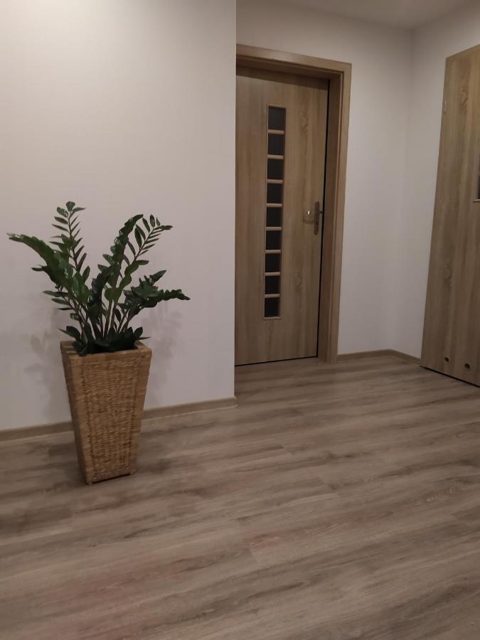 Apartament Kaola Jelenia Góra Exterior foto
